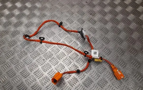 Volkswagen ID.3 Other wiring loom 1EA971475A