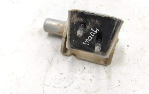 Renault Modus Rear door lower hinge 213724