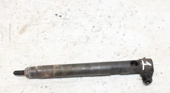 Chevrolet Captiva Fuel injector 25183186