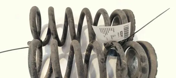 Rear coil spring