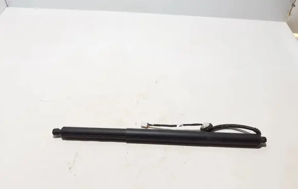 Tailgate strut