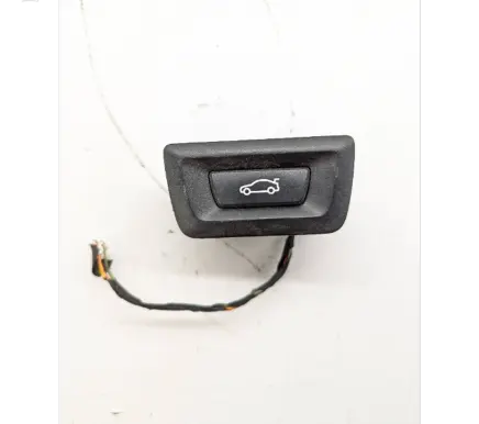 BMW X5 F15 Tailgate/boot open switch button 9275119