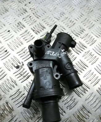 Thermostat/thermostat housing