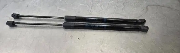 Tailgate/trunk strut/damper