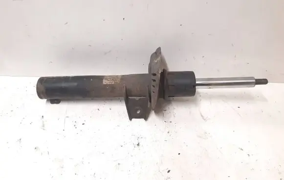 Volkswagen PASSAT B6 Front shock absorber/damper 3C0413031N
