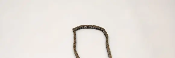 BMW 3 E46 Timing chain (engine) 