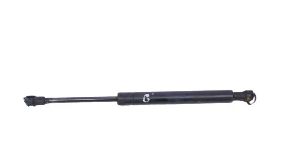 Tailgate/trunk strut/damper