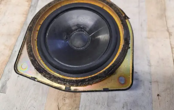 Front door high frequency speaker