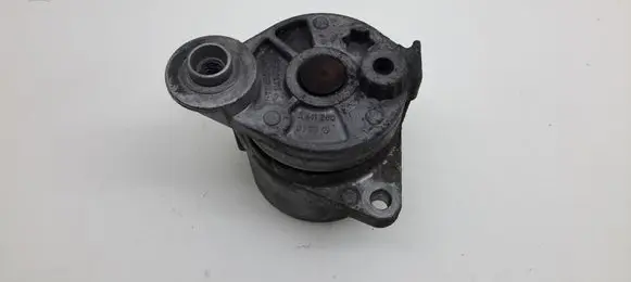 Mercedes-Benz ML W163 Timing belt/chain tensioner A6112000370