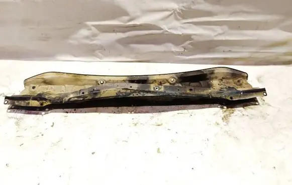 Wiper trim