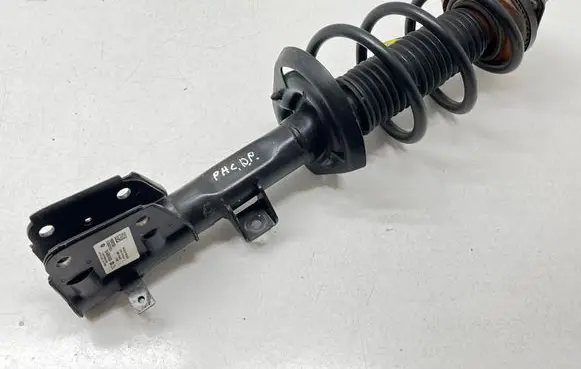 Chrysler Pacifica Front shock absorber with coil spring P68248728AD 33321075440 3362115422