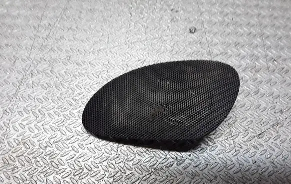 Front door high frequency speaker