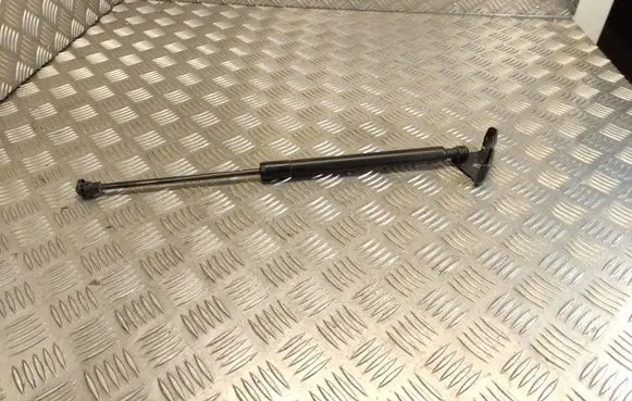 Renault Zoe Tailgate/trunk strut/damper 904502915R
