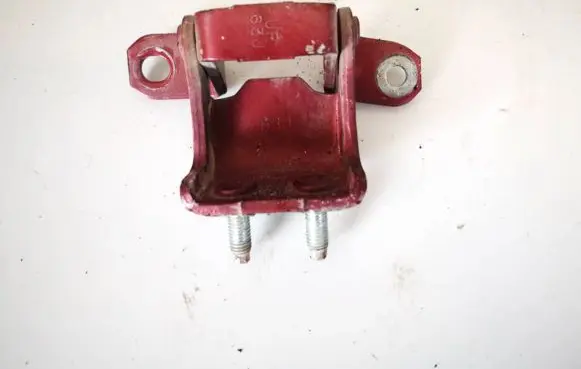 Rear door lower hinge