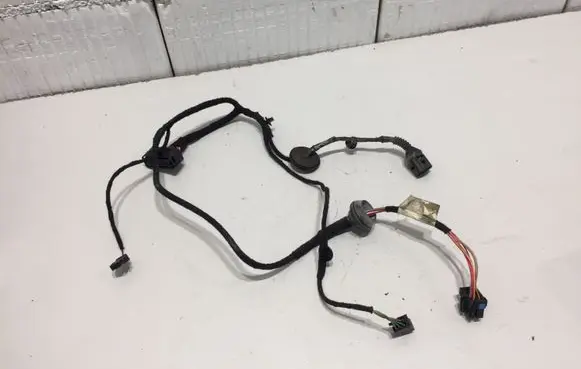 Volkswagen PASSAT B5 Rear door wiring loom 3B0971161M