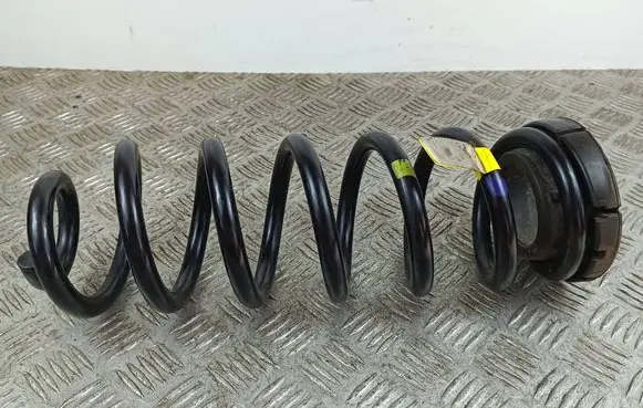 Rear coil spring