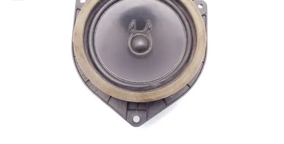 Lexus RX 300 Rear door speaker 8616048110