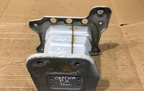 Chevrolet Captiva Front bumper shock/impact absorber 