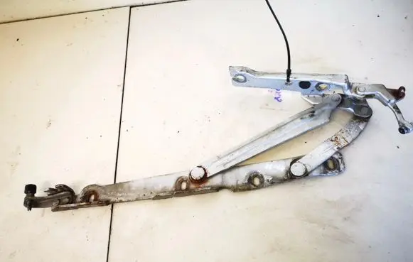 Tailgate/trunk/boot hinge