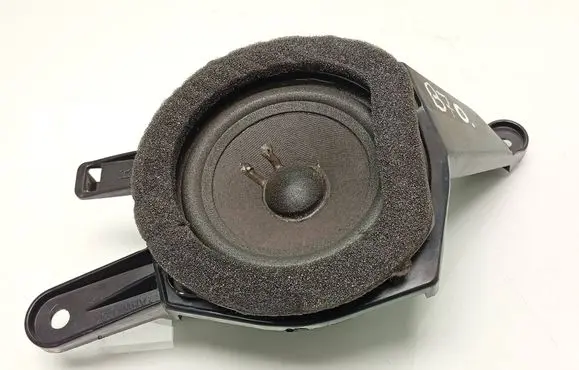 Rear door speaker