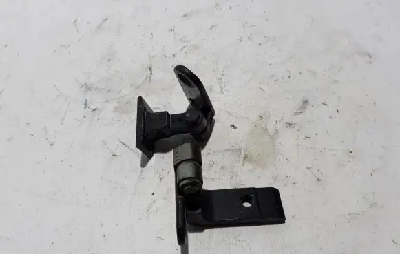 BMW 5 G30 G31 Rear door lower hinge 7420098