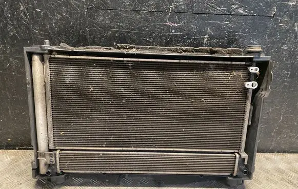Toyota Prius (XW30) Radiator set 1002221377