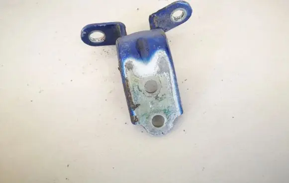 KIA Sportage Rear door lower hinge