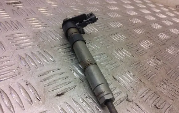 Land Rover Evoque I Fuel injector 9687454480