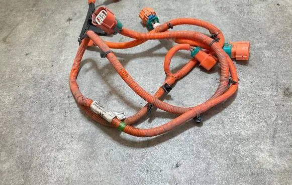 Other wiring loom