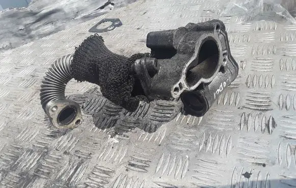Renault Trafic II (X83) EGR valve 8200797706