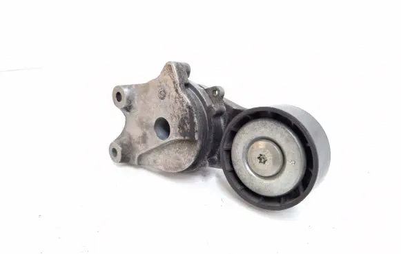 Ford Focus Alternator belt tensioner JN1Q6A228AA 302191