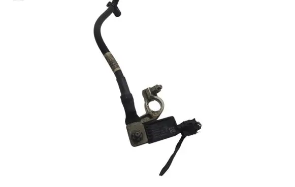 Ford Fiesta Negative earth cable (battery) H1BT10C679AC
