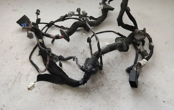 Front door wiring loom