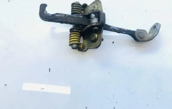 Renault Scenic I Rear door check strap stopper