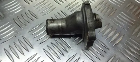 Thermostat/thermostat housing
