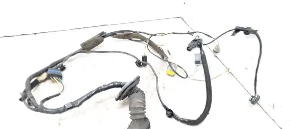 Renault Espace - Grand espace IV Front door wiring loom 8200318063