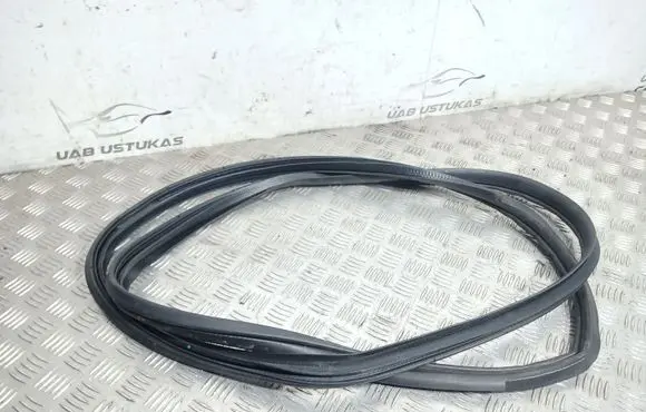 Mitsubishi Outlander Front door rubber seal