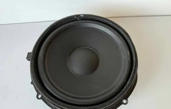 Tesla Model S Front door speaker 100483303A