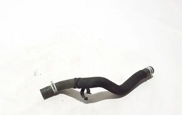 Dacia Sandero III Engine coolant pipe/hose 924000765R