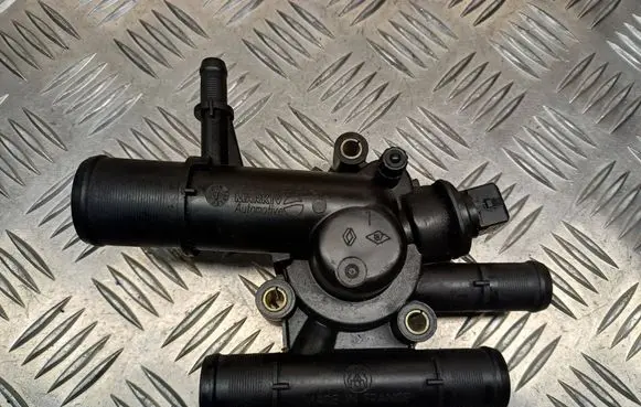 Thermostat/thermostat housing