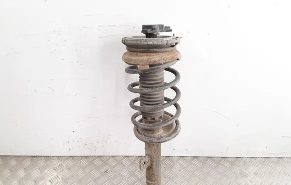 Peugeot 607 Front shock absorber with coil spring 9646629680