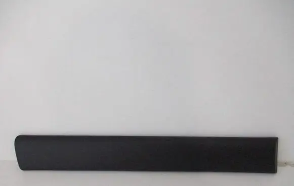 Rear door trim (molding)