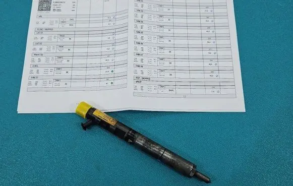 Hyundai Terracan Fuel injector EJBR02901D IMPRK1461145