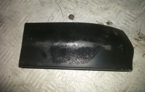 Rear/tail light trim molding
