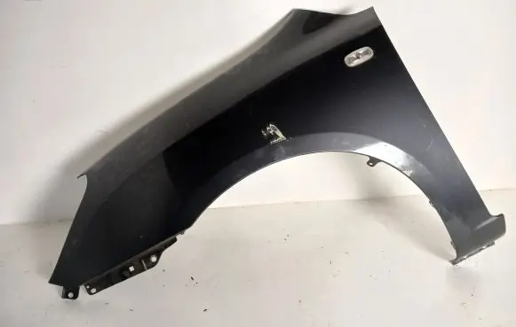 KIA Carens II Fender