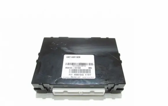 Hyundai Accent Other control units/modules 954101E102