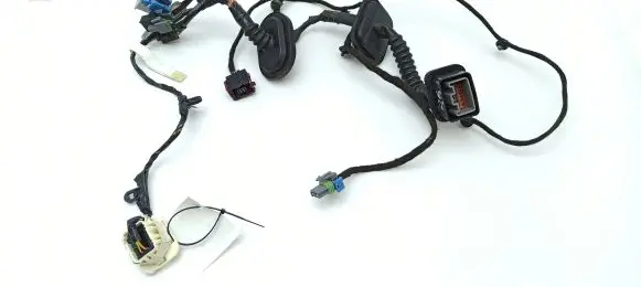 Rear door wiring loom