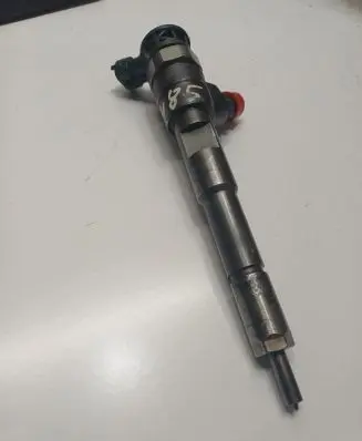 Renault Kangoo II Fuel injector 0445110485