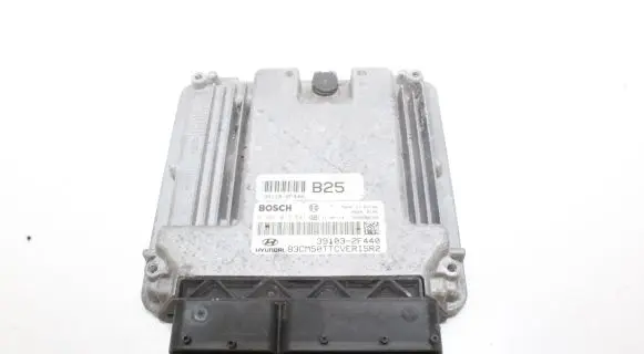 Hyundai Santa Fe Engine control unit/module 391032F440 0281017541