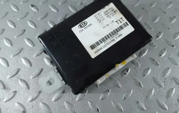 KIA Optima Other control units/modules 954002T510
